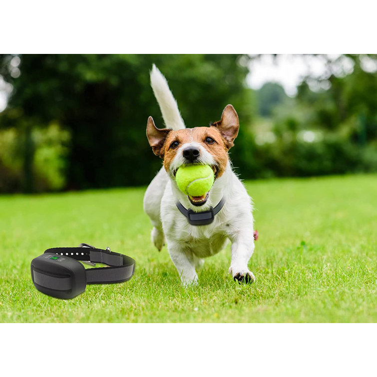 Heavently Furnishings WIEZ GPS Wireless Dog Fence, Electric Dog Fence
